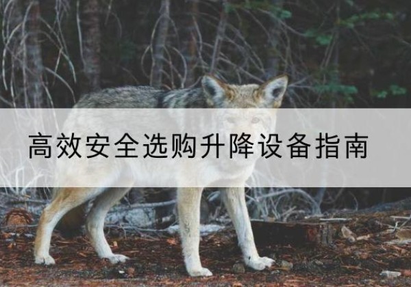 边坝升降货梯厂家推荐-*安全选购升降设备指南
