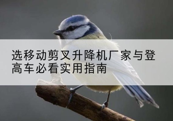 边坝电动升降机厂家-选移动剪叉升降机厂家与登高车必看实用指南