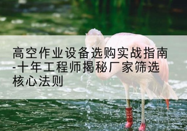 边坝剪叉式升降机厂家-高空作业设备选购实战指南-十年工程师揭秘厂家筛选核心法则