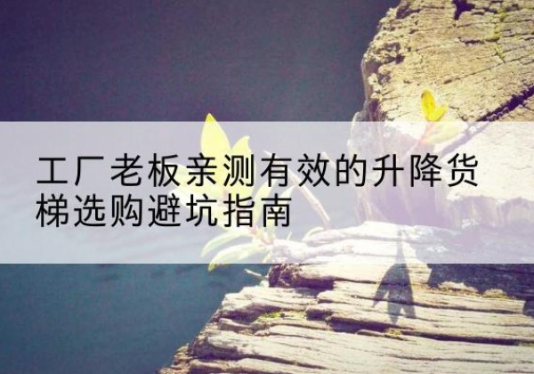 边坝升降货梯怎么选-工厂老板亲测有效的升降货梯选购避坑指南